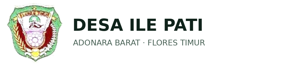 Logo Desa Ile Pati